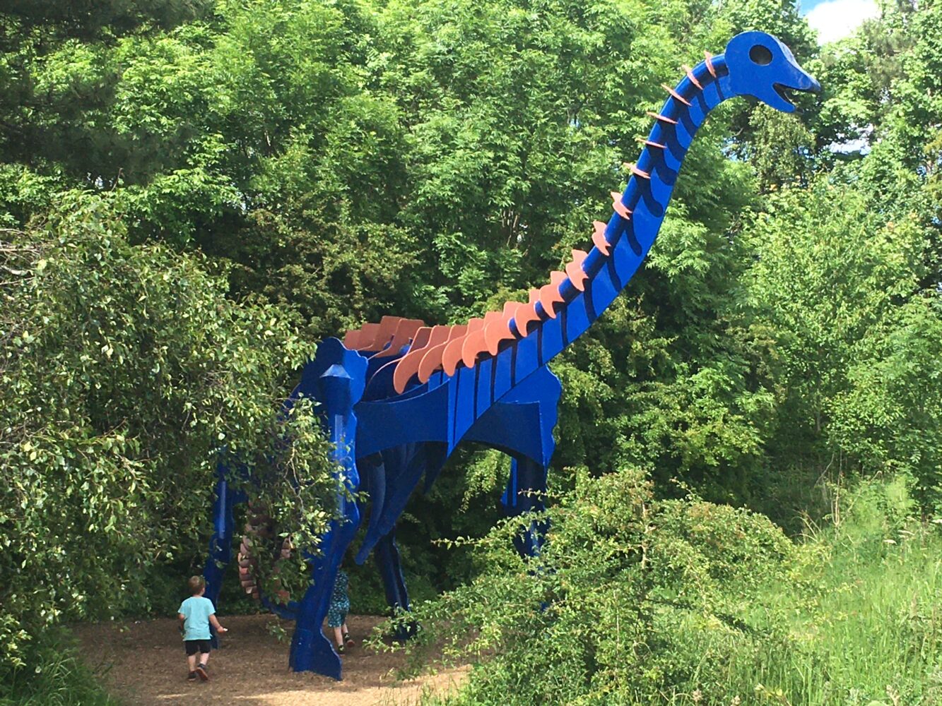 Family adventure park Totally Roarsome opens this weekend